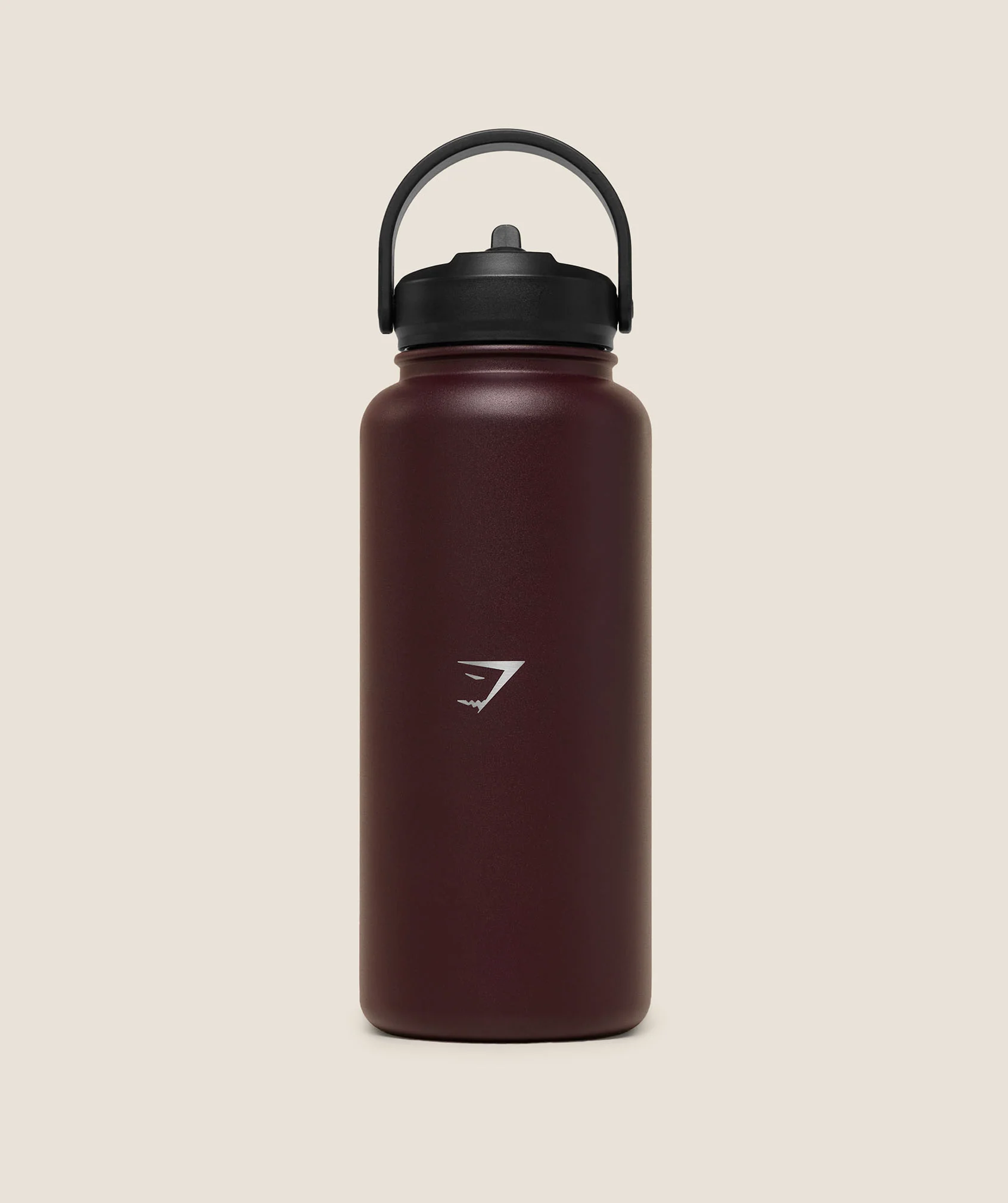 Metal Insulated Straw Bottle 1L